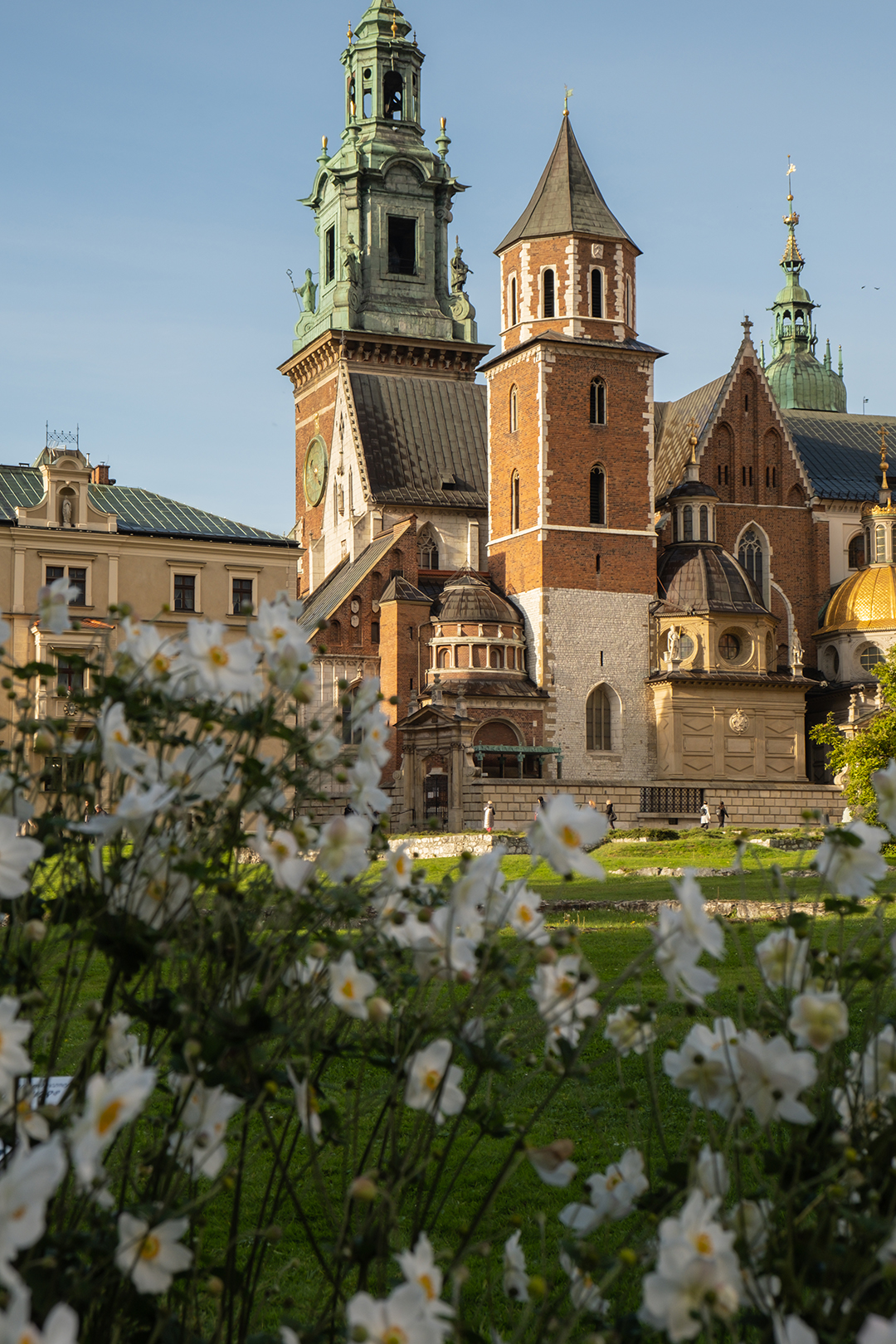 Wawel Cathedral glowing in the afternoon sun, framed by garden flowers and Krakow’s royal heritage.