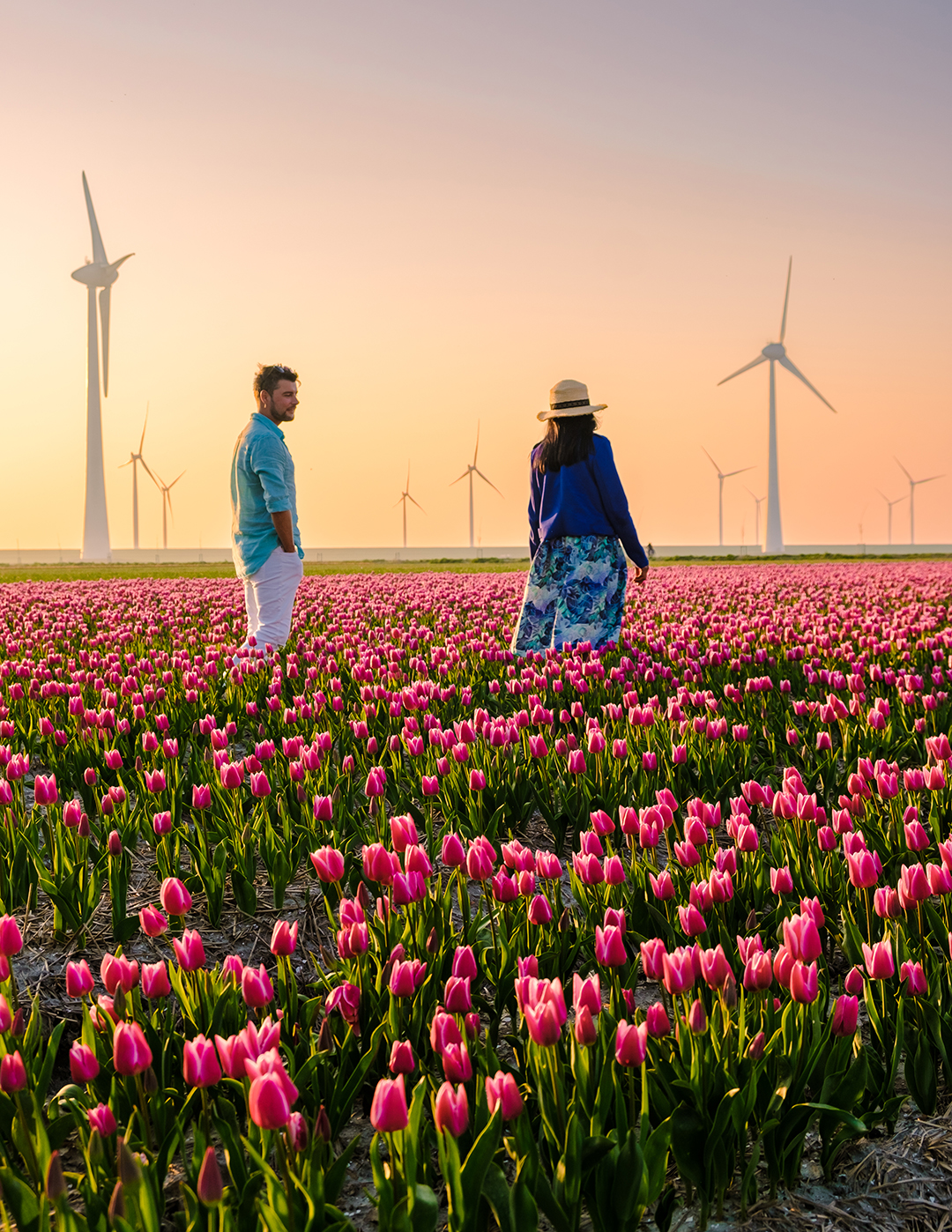 A couple walking through endless tulip fields, blending color, wind and the essence of Dutch spring.