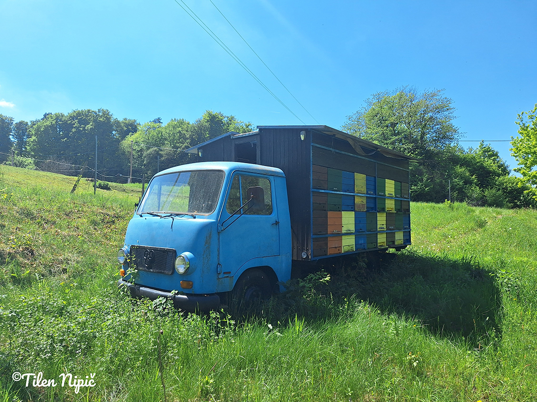 An old blue truck parked beside a meadow in the Svečina Hills, capturing the charm of rural life.