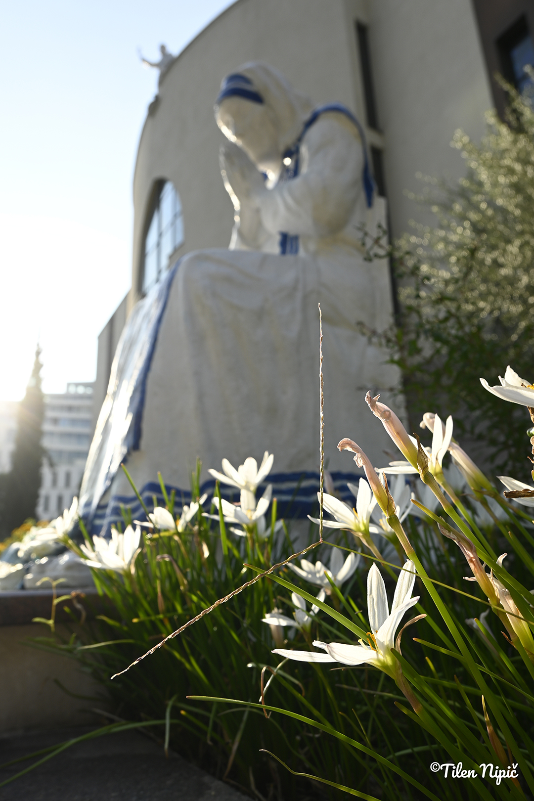 Detajl verskega objekta poudarja simboliko in estetsko vrednost albanske arhitekture.