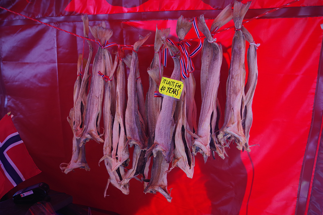 Sušene ribe na bergenski ribji tržnici, kjer obiskovalci spoznajo pristen okus norveške tradicije.